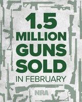 Another 1.5M guns sold in February